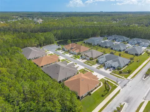 View/Area - 3 Hawk Roost Ct, Ormond Beach, FL 32174 photo 3 of 7
