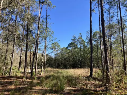 10050 Ebert Ave, Hastings, FL 32145