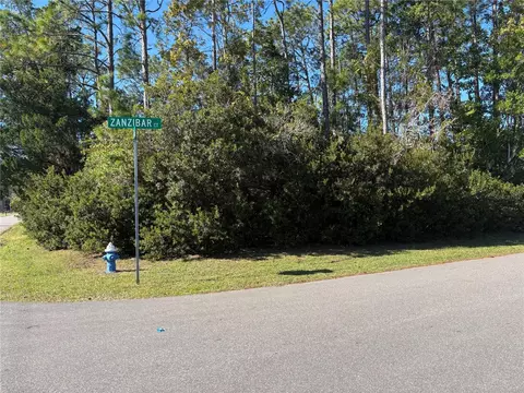 1 Zanzibar Ct, Palm Coast, FL 32164