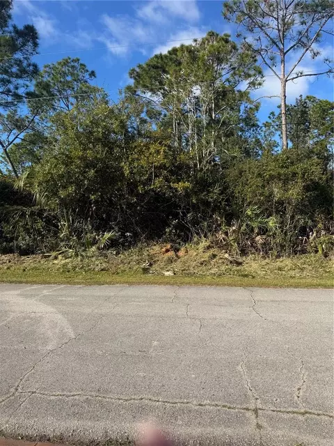 50 Wheeling Ln, Palm Coast, FL 32164