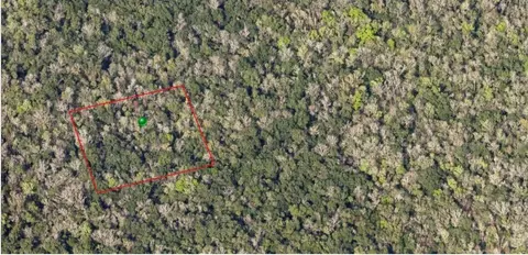 000 Reed Grove Rd, Oak Hill, FL 32759