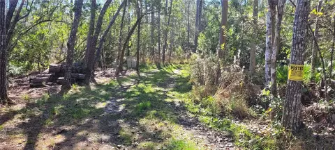3781 Pine Pitch Ct, Ormond Beach, FL 32174 photo 8