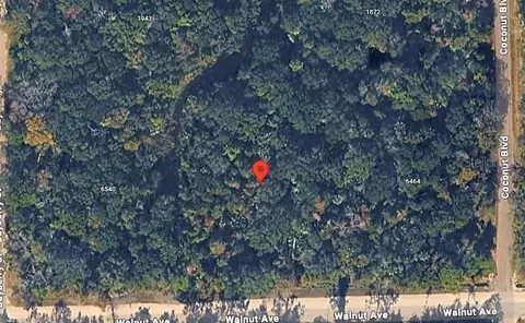 6502 Walnut Ave, Bunnell, FL 32110