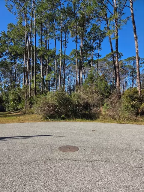 6 Uturn Ct, Palm Coast, FL 32164