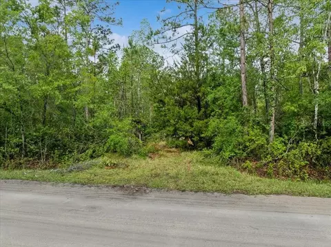 1756 Hazelnut St, Bunnell, FL 32110 photo 7