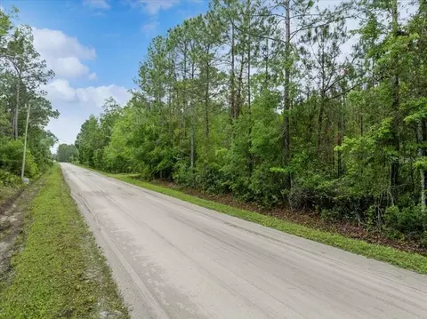 1756 Hazelnut St, Bunnell, FL 32110 photo 2