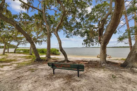 View/Area - 317 Shore Dr E, Oldsmar, FL 34677 photo 6 of 6