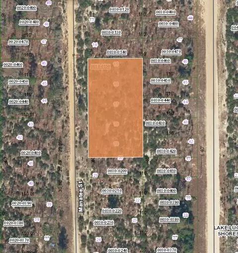 Nn Manatee Street, Interlachen, FL 32148