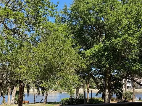 95 Rivers Edge Ln #95, Palm Coast, FL 32137