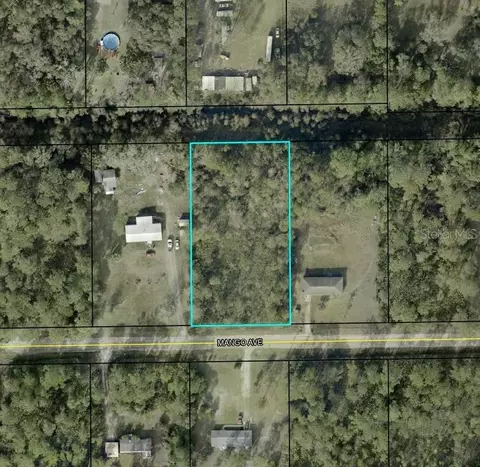 6140 Mango Ave, Bunnell, FL 32110