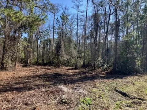 1881 Hazelnut St, Bunnell, FL 32110 photo 2