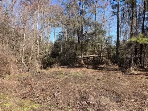 1881 Hazelnut St, Bunnell, FL 32110