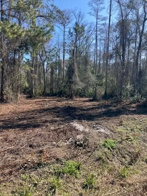 1881 Hazelnut St, Bunnell, FL 32110 photo 6