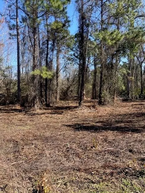 1881 Hazelnut St, Bunnell, FL 32110 photo 5