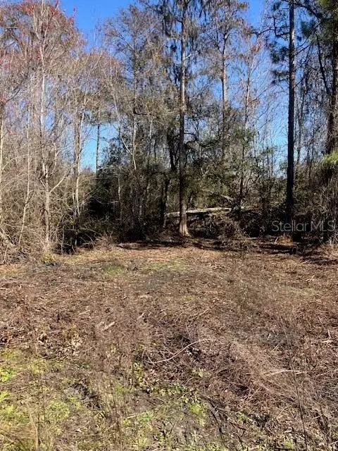 1881 Hazelnut St, Bunnell, FL 32110 photo 4