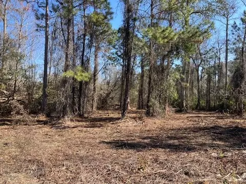 1881 Hazelnut St, Bunnell, FL 32110 photo 3