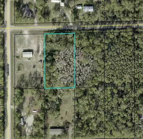 5603 Chestnut Ave, Bunnell, FL 32110