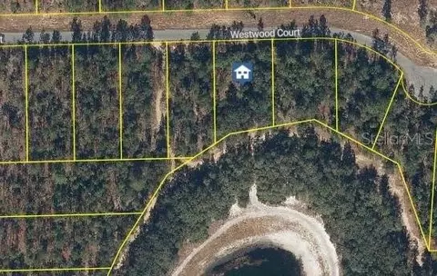 115 Westwood Ct, Interlachen, FL 32148
