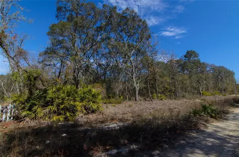 206 Tall Pine Trl, Satsuma, FL 32189