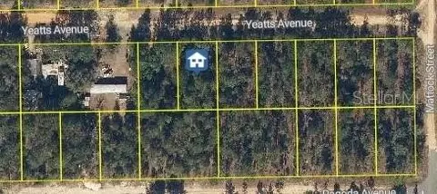 111 Yeatts Ave, Interlachen, FL 32148