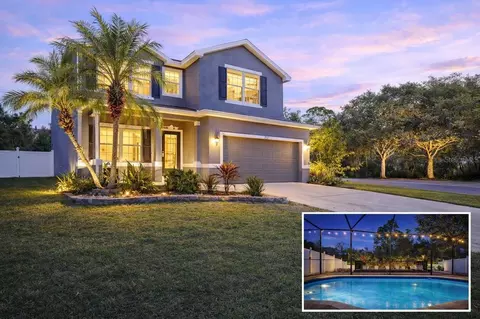 12507 Bay Branch Ct, Tampa, FL 33635