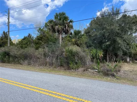 164 Bird Of Paradise Dr, Palm Coast, FL 32137
