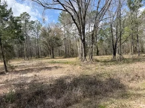 10055 Flikkema Ave, Hastings, FL 32145