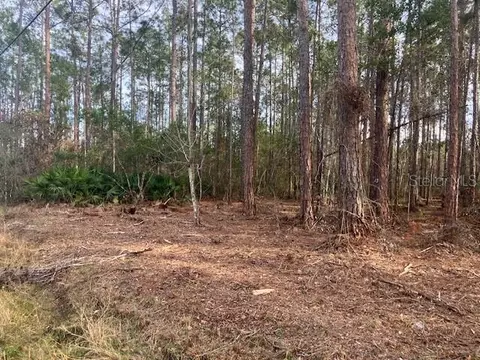 4515 Mahogany Blvd, Bunnell, FL 32110