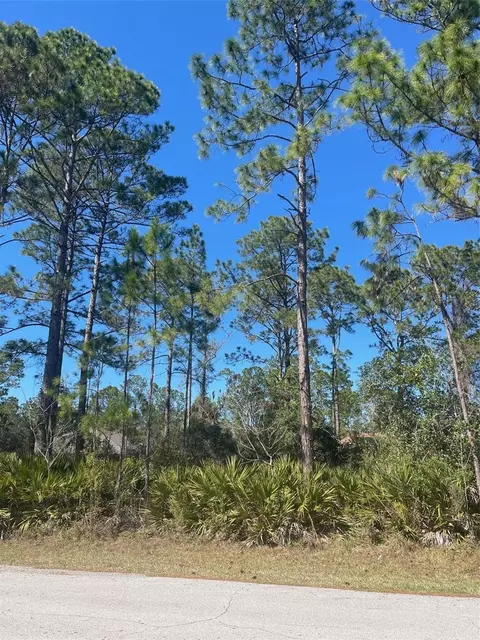 36 Seagoing Trl, Palm Coast, FL 32164