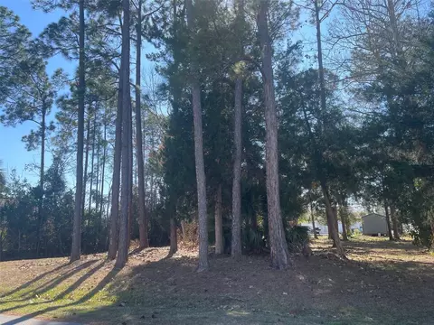 60 Birchwood Dr, Palm Coast, FL 32137
