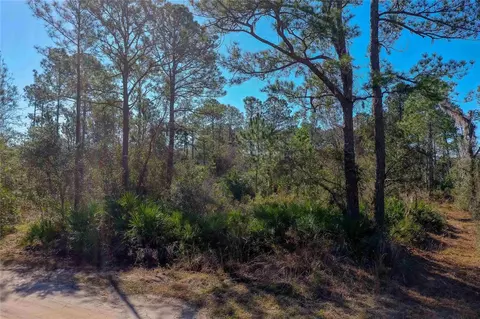 33150 Forest Ridge Rd, Deland, FL 32720
