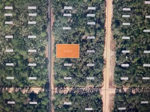 X Theresa Avenue, Interlachen, FL 32148