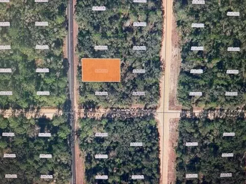 Nn Theresa Avenue, Interlachen, FL 32148