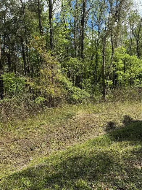 10140 Yeager Ave, Hastings, FL 32145