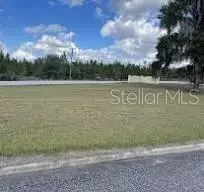 100 Siesta Cir, Welaka, FL 32193