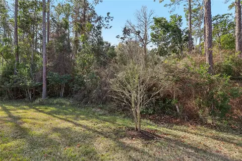 Exterior - 544 Enrede Ln, Saint Augustine, FL 32092 photo 9 of 9