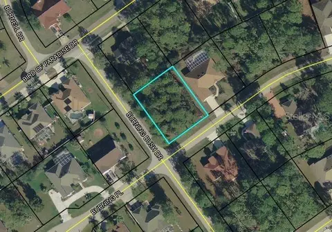 1 Burning View Ln, Palm Coast, FL 32137
