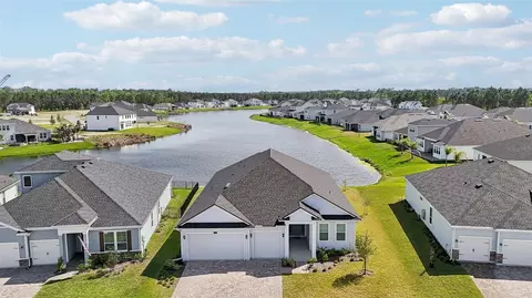 View/Area - 46 Iris Creek Dr, Saint Augustine, FL 32092 photo 6 of 11