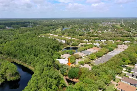 View/Area - 3003 Glin Cir, Ormond Beach, FL 32174 photo 5 of 21