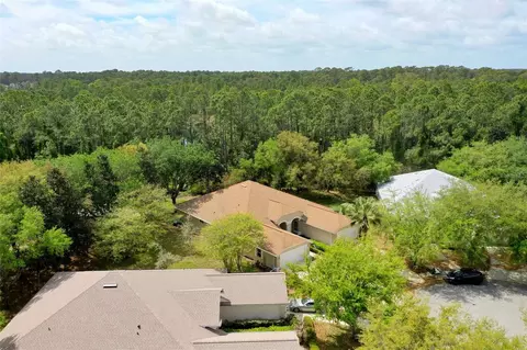View/Area - 3003 Glin Cir, Ormond Beach, FL 32174 photo 2 of 21