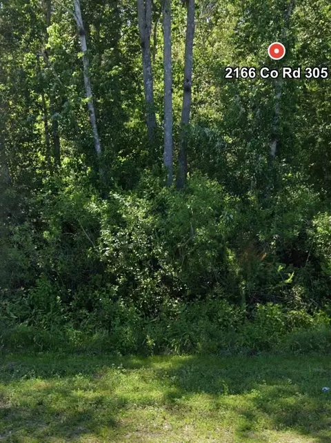 2166 Cr-305, Bunnell, FL 32110 photo 1