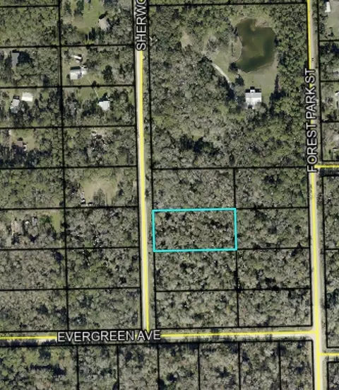 1795 Sherwood St, Bunnell, FL 32110