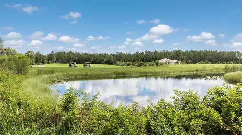 View/Area - 8 Divot Pl, Bunnell, FL 32110 photo 11 of 18