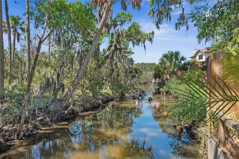 View/Area - 116 Pine Tree St, Flagler Beach, FL 32136 photo 3 of 12