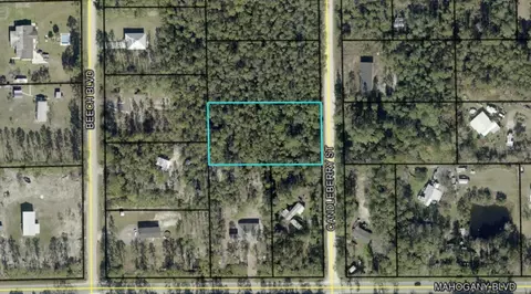 1402 Candleberry St, Bunnell, FL 32110