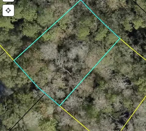 Nnn Z Section Drop Lot, Palm Coast, FL 32137