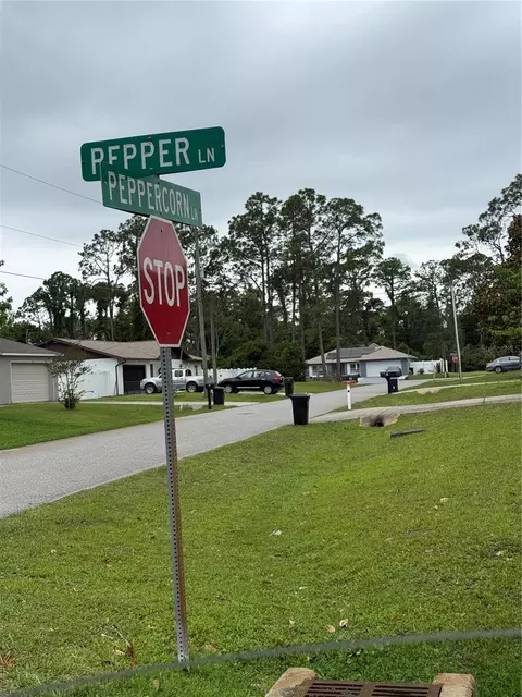 15 Pepper Ln, Palm Coast, FL 32164