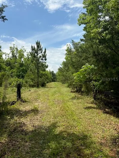 459 County Road 2006 E, Bunnell, FL 32110
