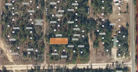 Nn Pine Way, Interlachen, FL 32148