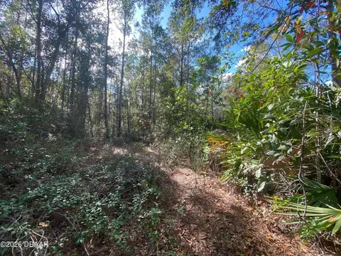 820 Old Bubbly Rd, Pierson, FL 32180